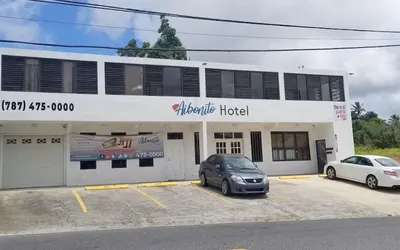 Aibonito Hotel 201