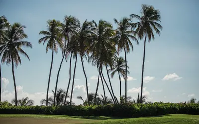 Wyndham Palmas Beach and Golf Boutique Resort