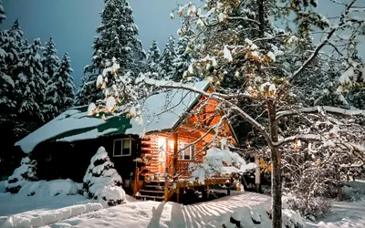 Cozy log cabin with fireplace and jacuzzi tub, close to skiing