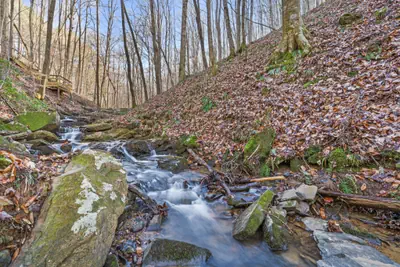 Photo 4 - Streams and Dreams