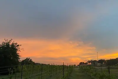 Photo 4 - 12 Fires Winery - Glamping #1