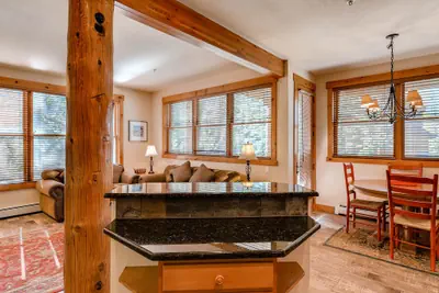 Photo 5 - Dog Friendly Condo With Private Patio, on shuttle route