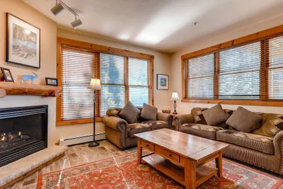 Photo 3 - Dog Friendly Condo With Private Patio, on shuttle route