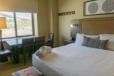 Photo 4 - Renovated Studio with All of the Necessities Save 20% on 7+ Nights!