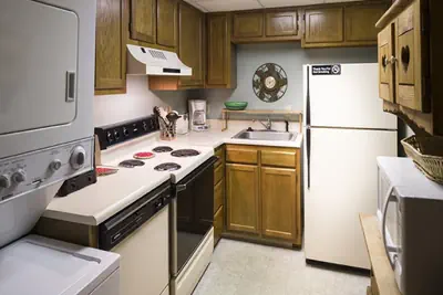 Photo 2 - Little Pigeon River 602 2BD Condo with Private Balcony