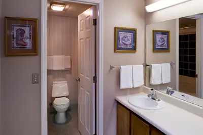 Photo 3 - Little Pigeon River 602 2BD Condo with Private Balcony