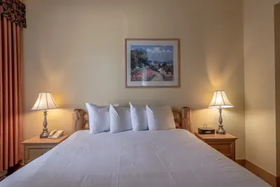 Photo 3 - Cozy Pet-Friendly King Studio in Mt. Crested Butte