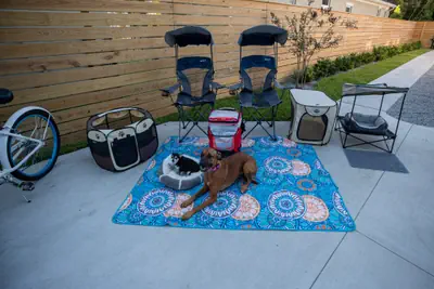 Photo 3 - Pet Friendly Modern Zen Studio Retreat with Hot Tub