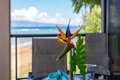 Photo 4 - Sands Of Kahana 315 2Bd/2Ba Oceanfront
