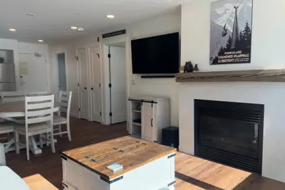 Photo 3 - Beautiful Renovated 1BR Lakeside Condo