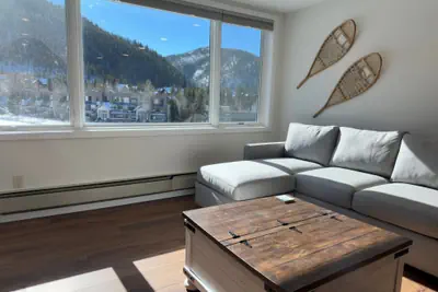 Photo 4 - Beautiful Renovated 1BR Lakeside Condo