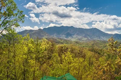 Photo 2 - Enchanted View Lodge