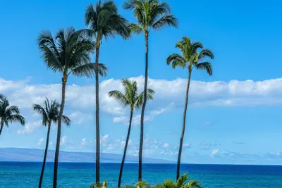 Photo 4 - Royal Kahana 217