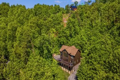 Photo 5 - A Tree Top View
