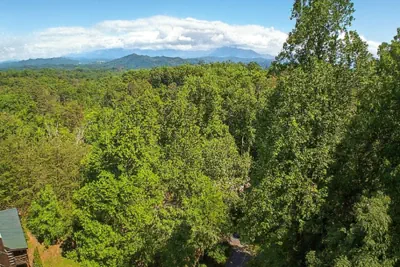 Photo 5 - Mountain Paradise