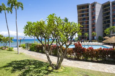 Photo 3 - Kaanapali Shores #159