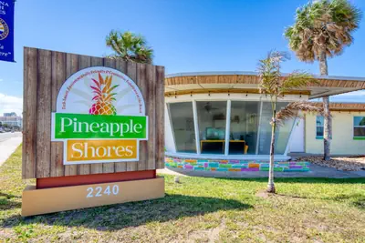 Photo 3 - Pineapple 8