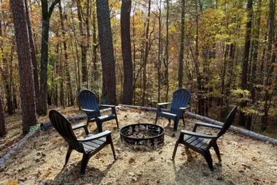 Photo 5 - Hollow Tree Hideaway - FREE Ticket for each night of your stay