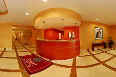 Photo 3 - Comfort Suites Flowood - Jackson Airport (must meet transportation requirement)