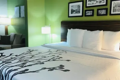 Photo 5 - Sleep Inn & Suites Round Rock - Austin North