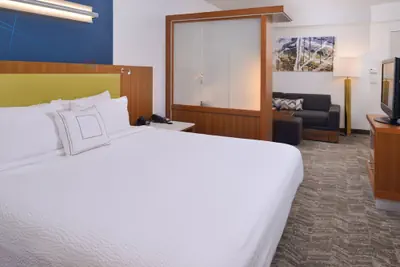 Photo 5 - SpringHill Suites by Marriott Durham Chapel Hill