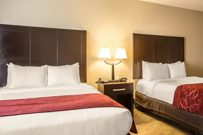 Photo 5 - Comfort Suites Huntersville near Lake Norman