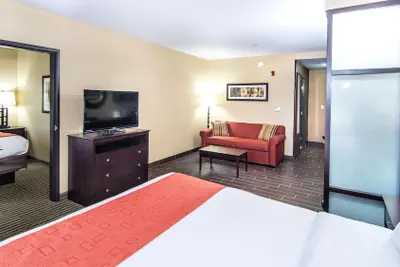 Photo 4 - Holiday Inn Express & Suites Elkton - University Area by IHG
