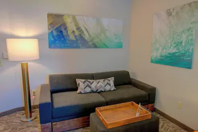 Photo 4 - SpringHill Suites by Marriott Macon