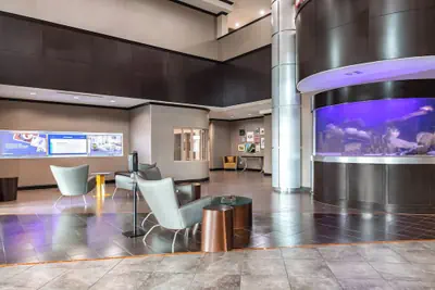 Photo 2 - Springhill Suites by Marriott Waco Woodway