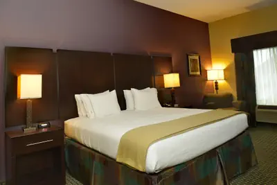Photo 3 - Holiday Inn Express Hotel & Suites Baton Rouge North by IHG