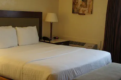 Photo 5 - Lexington Inn & Suites NW Chicago Elgin