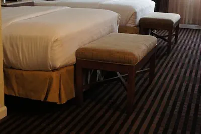 Photo 4 - Lexington Inn & Suites NW Chicago Elgin