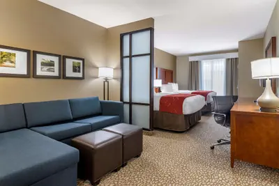 Photo 2 - Comfort Suites Florence I-95