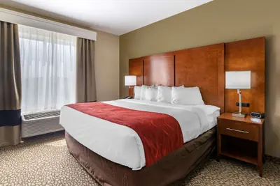 Photo 5 - Comfort Suites Florence I-95