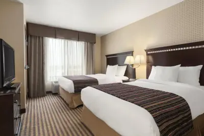 Photo 4 - University Hotel - Davis Area by IHG