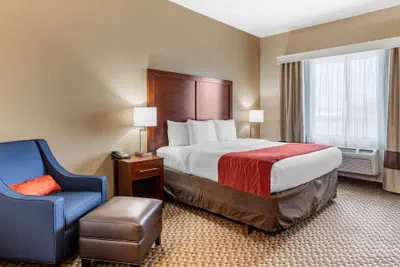Photo 5 - Comfort Inn & Suites Navasota