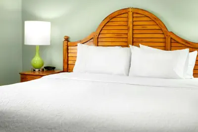 Photo 5 - Hampton Inn & Suites Savannah/Midtown