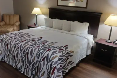 Photo 4 - Red Roof Inn & Suites Midland
