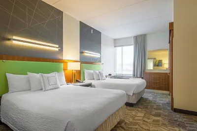 Photo 4 - SpringHill Suites by Marriott Tampa North/I 75 Tampa Palms