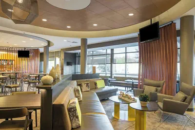 Photo 2 - SpringHill Suites by Marriott Tampa North/I 75 Tampa Palms