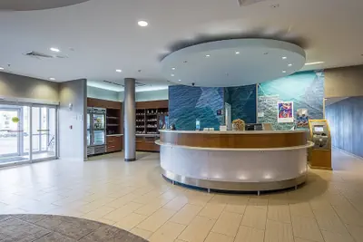 Photo 3 - SpringHill Suites by Marriott Tampa North/I 75 Tampa Palms