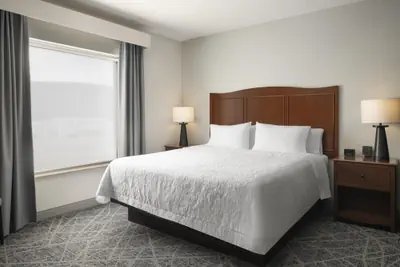Photo 5 - Hampton Inn Elmira/Horseheads