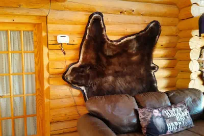Photo 4 - Horsehead Mountain Lodge