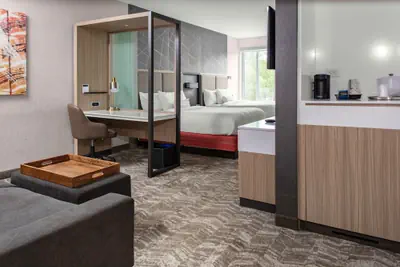 Photo 3 - SpringHill Suites by Marriott Suwanee Johns Creek