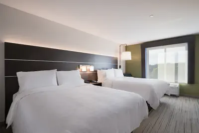 Photo 5 - Holiday Inn Express & Suites Chicago - Hoffman Estates by IHG