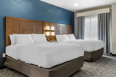Photo 5 - Comfort Suites Greenville Airport