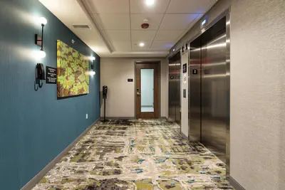 Photo 3 - Hampton Inn & Suites Howell