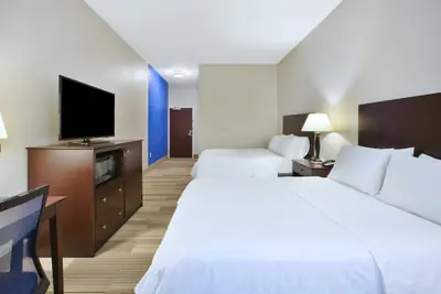 Photo 3 - Holiday Inn Express Hotel & Suites Niles by IHG