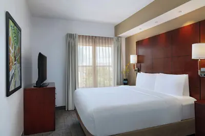 Photo 5 - Residence Inn Dallas DFW Airport South/Irving