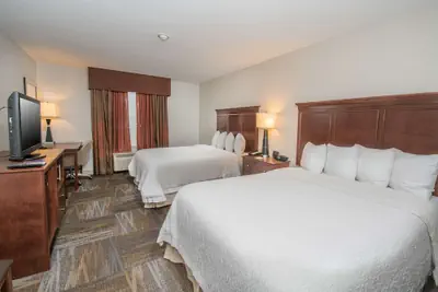 Photo 4 - Hampton Inn & Suites Selma-San Antonio-Randolph AFB Texas